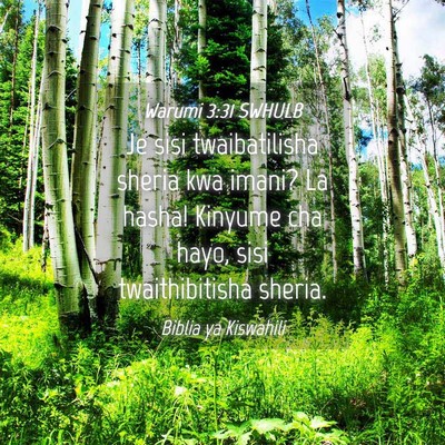 Picture 04 - Warumi 3:31 SWHULB - Je sisi twaibatilisha sheria kwa imani? La hasha! - Bible Verse Picture