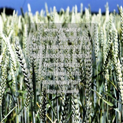 Picture 04 - Warumi 7:1 SWHULB - Au hamjui, ndugu zangu (kwa kuwa naongea na watu - Bible Verse Picture