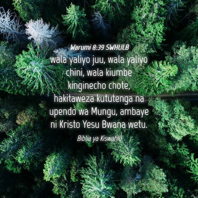 Picture 04 - Warumi 8:39 SWHULB - wala yaliyo juu, wala yaliyo chini, wala kiumbe - Bible Verse Picture