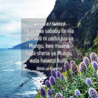 Picture 04 - Warumi 8:7 SWHULB - Hii ni kwa sababu ile nia ya mwili ni uadui juu - Bible Verse Picture