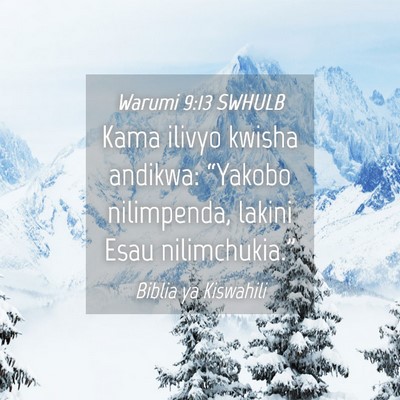 Picture 04 - Warumi 9:13 SWHULB - Kama ilivyo kwisha andikwa: “Yakobo nilimpenda, - Bible Verse Picture