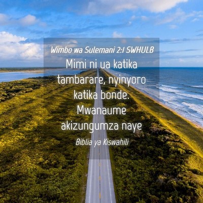 Picture 04 - Wimbo wa Sulemani 2:1 SWHULB - Mimi ni ua katika tambarare, nyinyoro katika - Bible Verse Picture