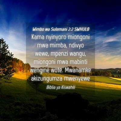 Picture 04 - Wimbo wa Sulemani 2:2 SWHULB - Kama nyinyoro miongoni mwa mimba, ndivyo wewe, - Bible Verse Picture