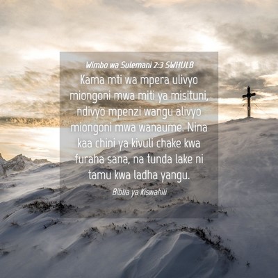 Picture 04 - Wimbo wa Sulemani 2:3 SWHULB - Kama mti wa mpera ulivyo miongoni mwa miti ya - Bible Verse Picture