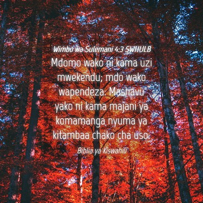 Picture 04 - Wimbo wa Sulemani 4:3 SWHULB - Mdomo wako ni kama uzi mwekendu; mdo wako - Bible Verse Picture
