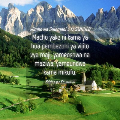 Picture 04 - Wimbo wa Sulemani 5:12 SWHULB - Macho yake ni kama ya hua pembezoni ya vijito vya - Bible Verse Picture