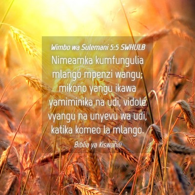 Picture 04 - Wimbo wa Sulemani 5:5 SWHULB - Nimeamka kumfungulia mlango mpenzi wangu; mikono - Bible Verse Picture
