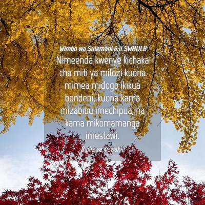 Picture 04 - Wimbo wa Sulemani 6:11 SWHULB - Nimeenda kwenye kichaka cha miti ya milozi kuona - Bible Verse Picture