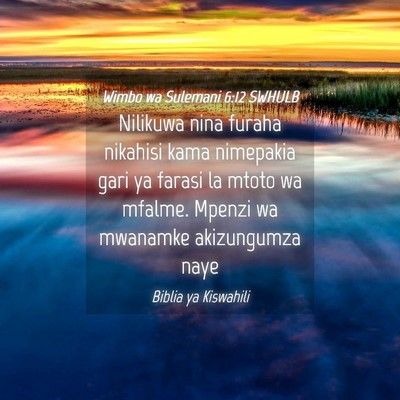 Picture 04 - Wimbo wa Sulemani 6:12 SWHULB - Nilikuwa nina furaha nikahisi kama nimepakia gari - Bible Verse Picture