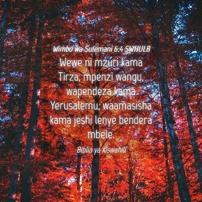 Picture 04 - Wimbo wa Sulemani 6:4 SWHULB - Wewe ni mzuri kama Tirza, mpenzi wangu, wapendeza - Bible Verse Picture