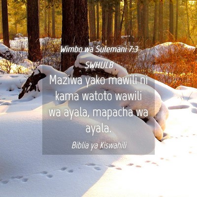Picture 04 - Wimbo wa Sulemani 7:3 SWHULB - Maziwa yako mawili ni kama watoto wawili wa - Bible Verse Picture