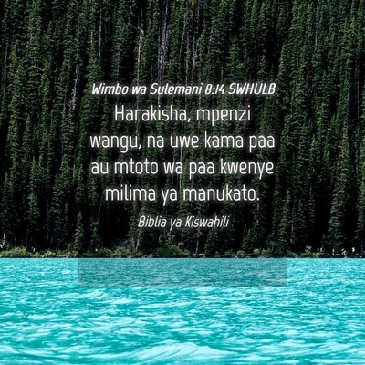 Picture 04 - Wimbo wa Sulemani 8:14 SWHULB - Harakisha, mpenzi wangu, na uwe kama paa au mtoto - Bible Verse Picture