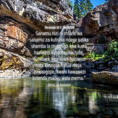 Picture 04 - Yeremia 10:5 SWHULB - Sanamu hizi ni mfano wa sanamu za kutishia ndege - Bible Verse Picture