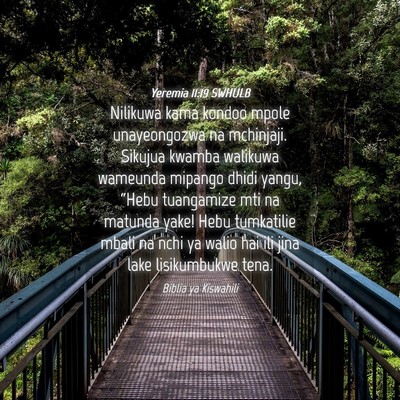 Picture 04 - Yeremia 11:19 SWHULB - Nilikuwa kama kondoo mpole unayeongozwa na - Bible Verse Picture
