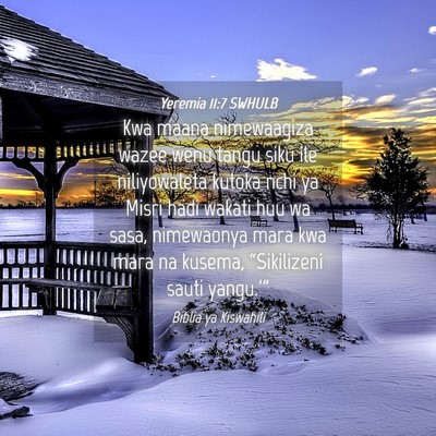 Picture 04 - Yeremia 11:7 SWHULB - Kwa maana nimewaagiza wazee wenu tangu siku ile - Bible Verse Picture