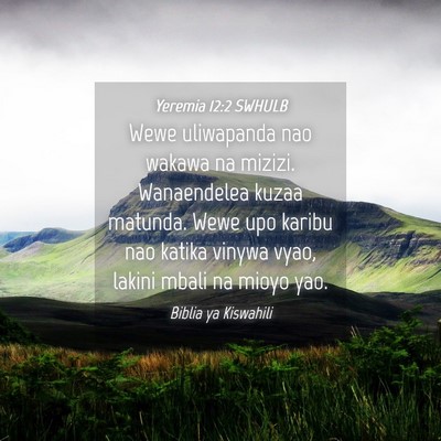 Picture 04 - Yeremia 12:2 SWHULB - Wewe uliwapanda nao wakawa na mizizi. Wanaendelea - Bible Verse Picture