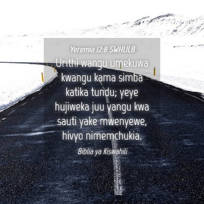 Picture 04 - Yeremia 12:8 SWHULB - Urithi wangu umekuwa kwangu kama simba katika - Bible Verse Picture