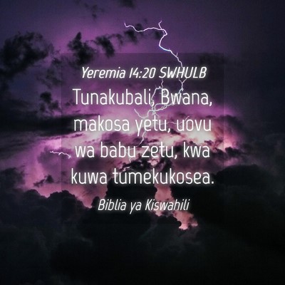 Picture 04 - Yeremia 14:20 SWHULB - Tunakubali, Bwana, makosa yetu, uovu wa babu - Bible Verse Picture