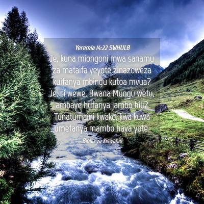 Picture 04 - Yeremia 14:22 SWHULB - Je, kuna miongoni mwa sanamu za mataifa yeyote - Bible Verse Picture
