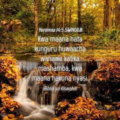 Picture 04 - Yeremia 14:5 SWHULB - Kwa maana hata kunguru huwaacha wanawe katika - Bible Verse Picture