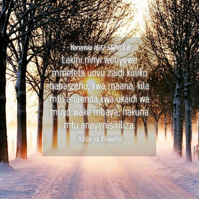 Picture 04 - Yeremia 16:12 SWHULB - Lakini ninyi wenyewe mmeleta uovu zaidi kuliko - Bible Verse Picture