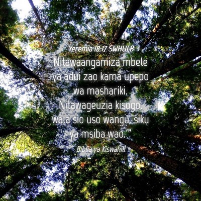 Picture 04 - Yeremia 18:17 SWHULB - Nitawaangamiza mbele ya adui zao kama upepo wa - Bible Verse Picture