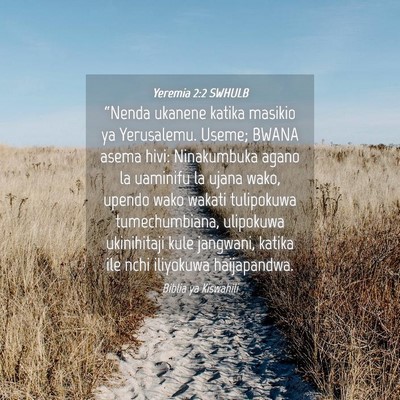 Picture 04 - Yeremia 2:2 SWHULB - “Nenda ukanene katika masikio ya Yerusalemu. - Bible Verse Picture