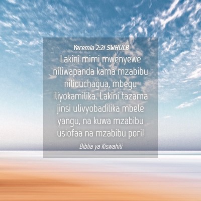 Picture 04 - Yeremia 2:21 SWHULB - Lakini mimi mwenyewe niliwapanda kama mzabibu - Bible Verse Picture