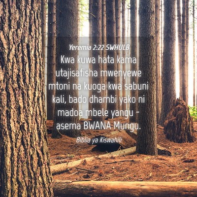 Picture 04 - Yeremia 2:22 SWHULB - Kwa kuwa hata kama utajisafisha mwenyewe mtoni na - Bible Verse Picture
