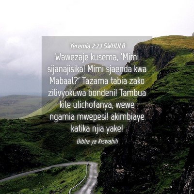 Picture 04 - Yeremia 2:23 SWHULB - Wawezaje kusema, 'Mimi sijanajisika! Mimi sjaenda - Bible Verse Picture