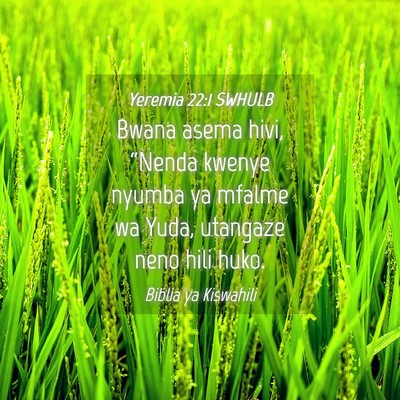 Picture 04 - Yeremia 22:1 SWHULB - Bwana asema hivi, “Nenda kwenye nyumba ya - Bible Verse Picture