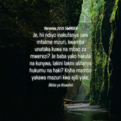 Picture 04 - Yeremia 22:15 SWHULB - Je, hii ndiyo inakufanya uwe mfalme mzuri, kwamba - Bible Verse Picture