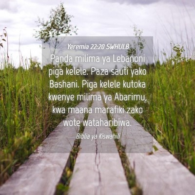 Picture 04 - Yeremia 22:20 SWHULB - Panda milima ya Lebanoni piga kelele. Paza sauti - Bible Verse Picture