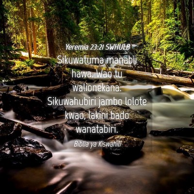 Picture 04 - Yeremia 23:21 SWHULB - Sikuwatuma manabii hawa. Wao tu walionekana. - Bible Verse Picture
