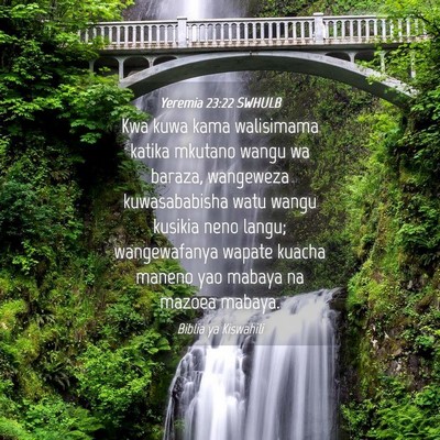 Picture 04 - Yeremia 23:22 SWHULB - Kwa kuwa kama walisimama katika mkutano wangu wa - Bible Verse Picture