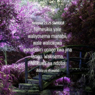 Picture 04 - Yeremia 23:25 SWHULB - Nimesikia yale waliyosema manabii, wale waliokuwa - Bible Verse Picture