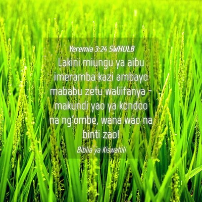 Picture 04 - Yeremia 3:24 SWHULB - Lakini miungu ya aibu imeramba kazi ambayo mababu - Bible Verse Picture