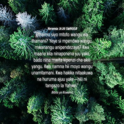 Picture 04 - Yeremia 31:20 SWHULB - Efraimu siyo mtoto wangu wa thamani? Yeye si - Bible Verse Picture