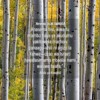 Picture 04 - Yeremia 31:36 SWHULB - Anasema hivi, ikiwa tu mambo haya ya akudumu - Bible Verse Picture