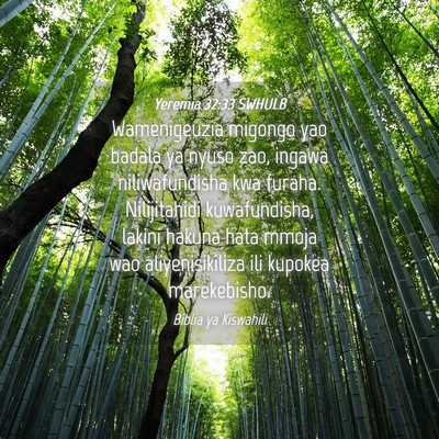 Picture 04 - Yeremia 32:33 SWHULB - Wamenigeuzia migongo yao badala ya nyuso zao, - Bible Verse Picture