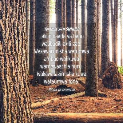 Picture 04 - Yeremia 34:11 SWHULB - Lakini baada ya hapo walibadili akili zao. - Bible Verse Picture