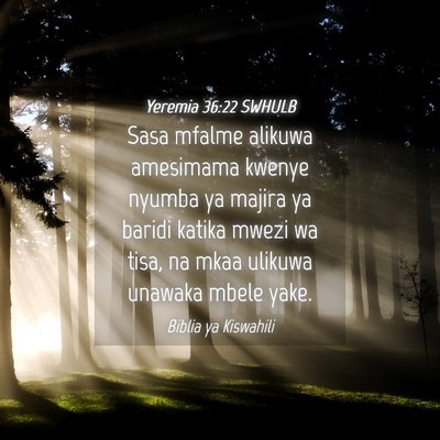 Picture 04 - Yeremia 36:22 SWHULB - Sasa mfalme alikuwa amesimama kwenye nyumba ya - Bible Verse Picture