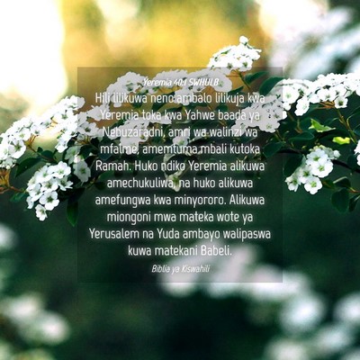 Picture 04 - Yeremia 40:1 SWHULB - Hili lilikuwa neno ambalo lilikuja kwa Yeremia - Bible Verse Picture