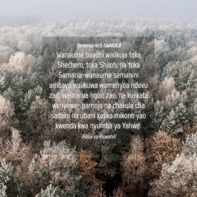 Picture 04 - Yeremia 41:5 SWHULB - Wanaume baadhi walikuja toka Shechem, toka - Bible Verse Picture