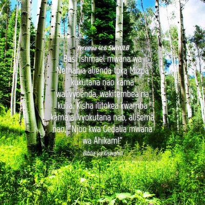 Picture 04 - Yeremia 41:6 SWHULB - Basi Ishmael mwana wa Nethania alienda toka Mizpa - Bible Verse Picture
