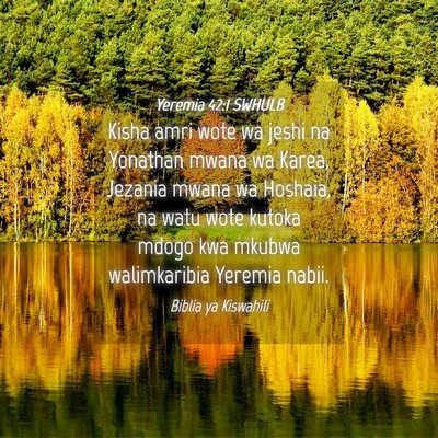 Picture 04 - Yeremia 42:1 SWHULB - Kisha amri wote wa jeshi na Yonathan mwana wa - Bible Verse Picture
