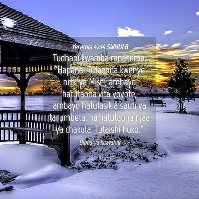 Picture 04 - Yeremia 42:14 SWHULB - Tudhani kwamba mnasema, “Hapana! Tutaenda - Bible Verse Picture