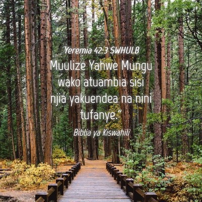 Picture 04 - Yeremia 42:3 SWHULB - Muulize Yahwe Mungu wako atuambia sisi njia - Bible Verse Picture