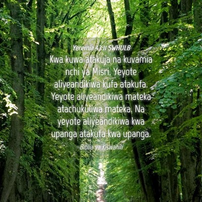 Picture 04 - Yeremia 43:11 SWHULB - Kwa kuwa atakuja na kuvamia nchi ya Misri. Yeyote - Bible Verse Picture
