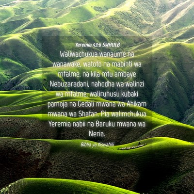 Picture 04 - Yeremia 43:6 SWHULB - Waliwachukua wanaume na wanawake, watoto na - Bible Verse Picture
